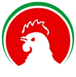 angular_wordmark_gradient